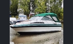 Sea Ray 250-kuva-11